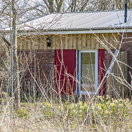 Deichgraf 1 Friedrichskoog Exterior foto