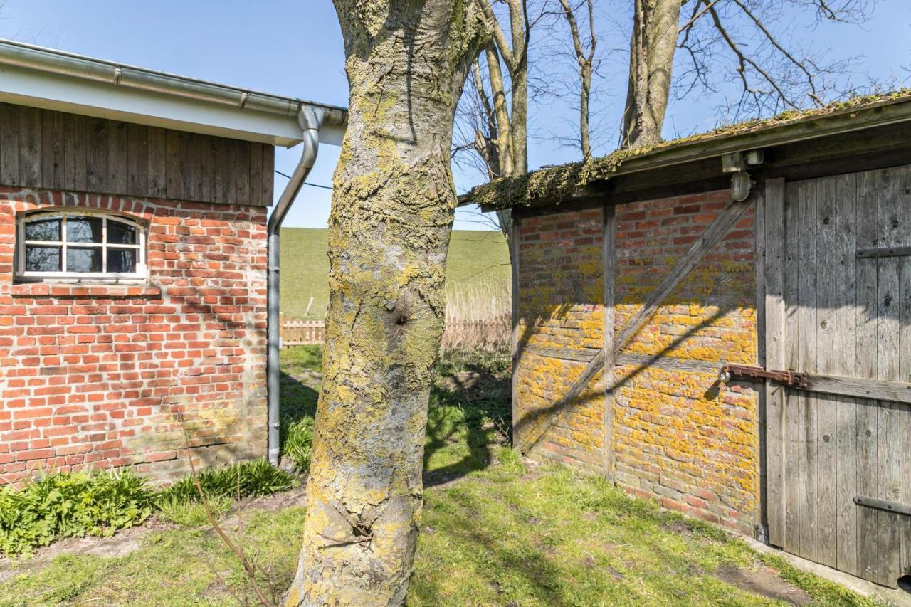 Deichgraf 1 Friedrichskoog Exterior foto